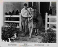 Birds The 30  film star poster A4 Photo Print