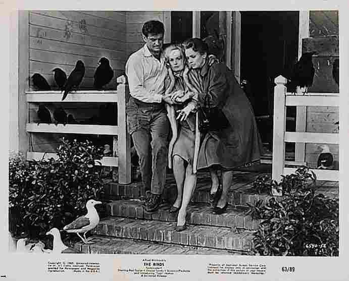 Birds The 30  film star poster A4 Photo Print