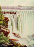 Birds & All Nature 1900 6 Niagara Falls A4 Photo Print