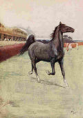 Black Beauty 1916 4 A4 Photo Print
