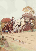 Black Beauty 1916 9 A4 Photo Print