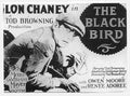 Black Bird The 04  film star poster A4 Photo Print