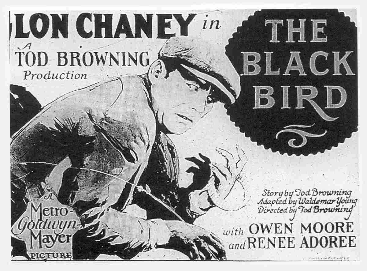 Black Bird The 04  film star poster A4 Photo Print