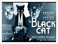 Black Cat Karloff Lugosi Edgar Allan Poe Vintage Retro Advert Poster A4 Photo P