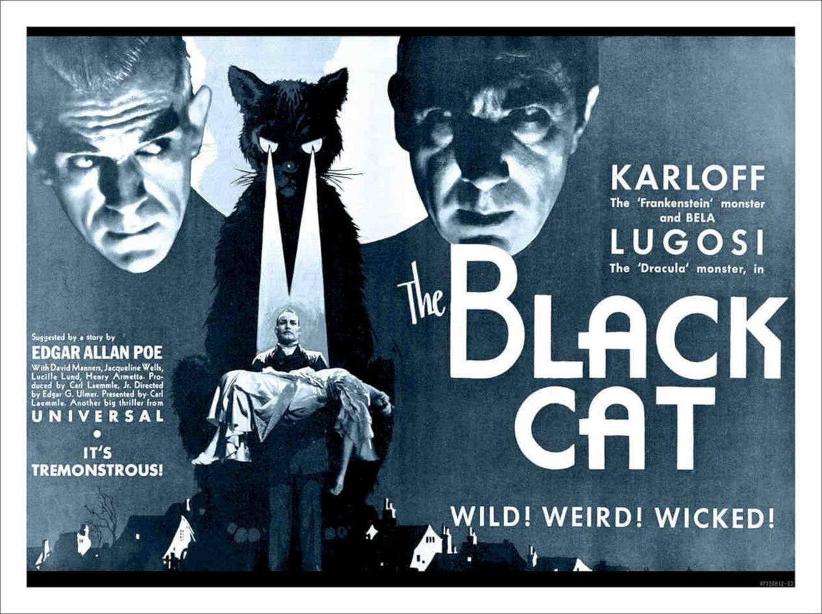 Black Cat Karloff Lugosi Edgar Allan Poe Vintage Retro Advert Poster A4 Photo P