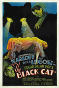 Black Cat The 1934 01  film star poster A4 Photo Print
