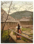 Black Forest I Baden Vintage A4 Photo Print