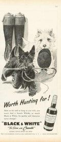 Black Scotch Terrier Vintage Retro Advert Ads A4 Photo Print