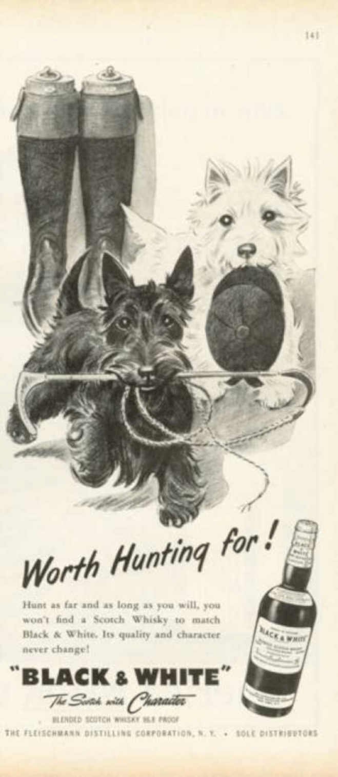 Black Scotch Terrier Vintage Retro Advert Ads A4 Photo Print