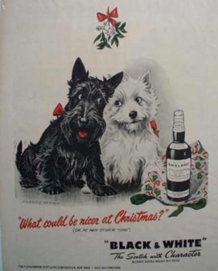 Black Scottish Terrier Vintage Retro Advert Ads A4 Photo Print