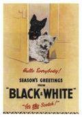 Black Terriers Scotch Vintage Retro Advert Ads A4 Photo Print