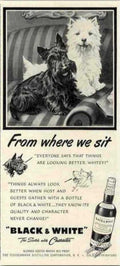 Black Whiskey Scottish Vintage Retro Advert Ads A4 Photo Print