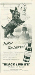 Black White Dogs 2 Vintage Retro Advert Ads A4 Photo Print