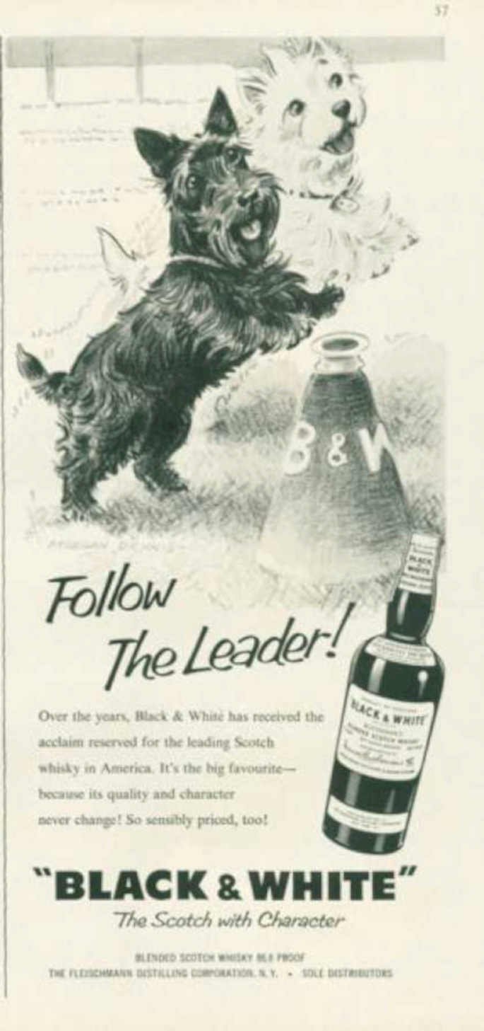 Black White Dogs 2 Vintage Retro Advert Ads A4 Photo Print