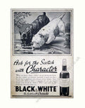 Black White Hound Vintage Retro Advert Poster A4 Photo Print