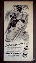 Black White Scotch 1 2 Vintage Retro Advert Ads A4 Photo Print