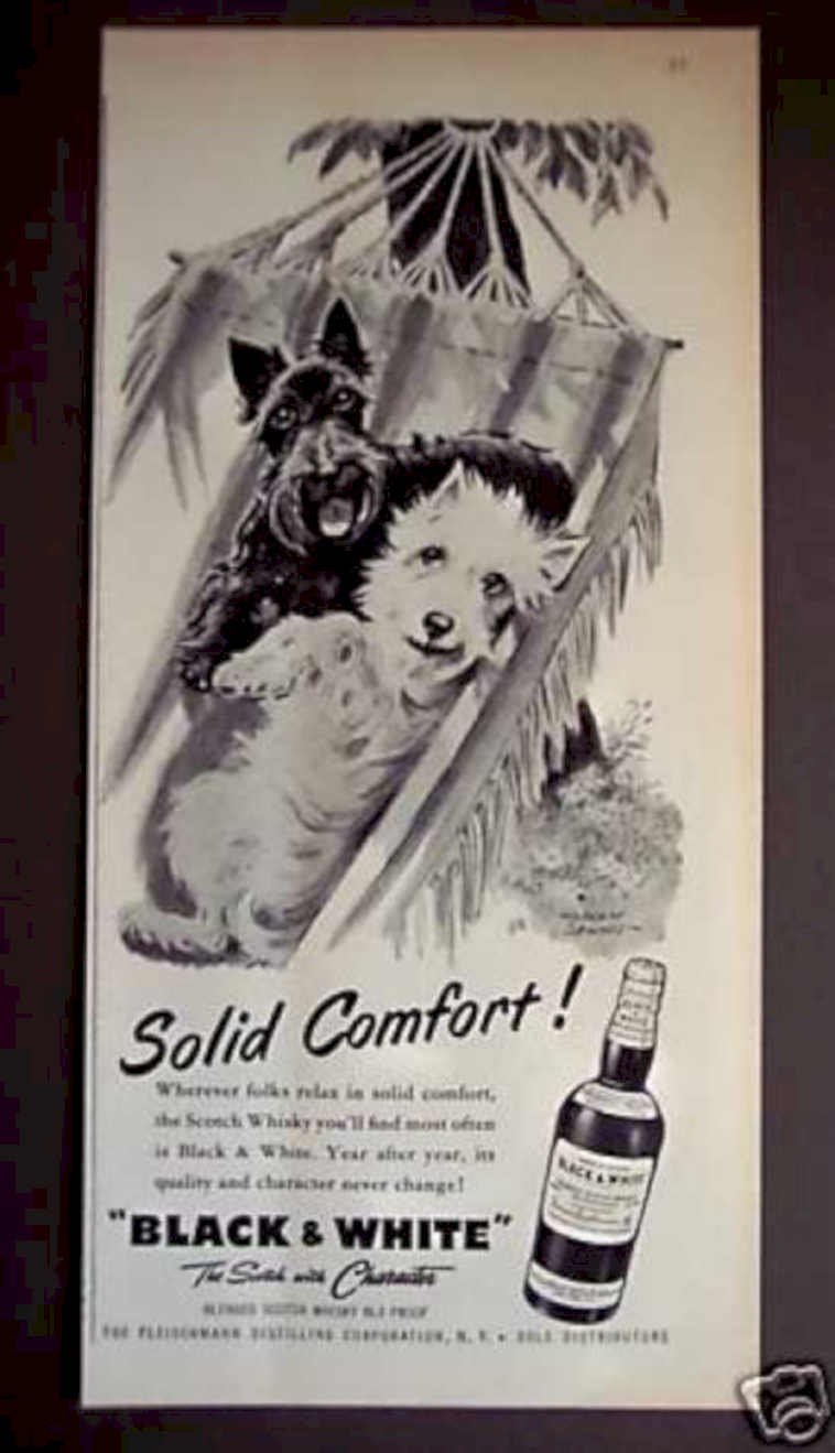 Black White Scotch 1 2 Vintage Retro Advert Ads A4 Photo Print
