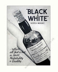 Black White Scotch 1 Vintage Retro Advert Poster A4 Photo Print 2