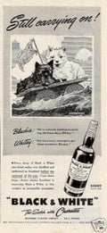 Black White Scotch Vintage Retro Advert Ads A4 Photo Print