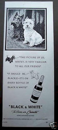 Black White Terriers 1 Vintage Retro Advert Ads A4 Photo Print