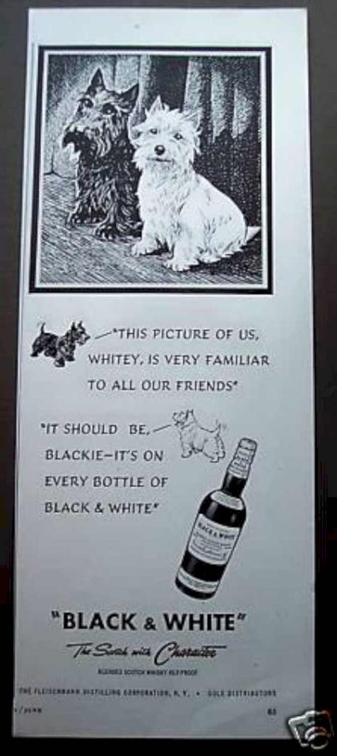 Black White Terriers 1 Vintage Retro Advert Ads A4 Photo Print