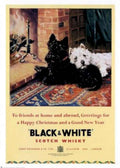Black White Terriers 2 Vintage Retro Advert Ads A4 Photo Print
