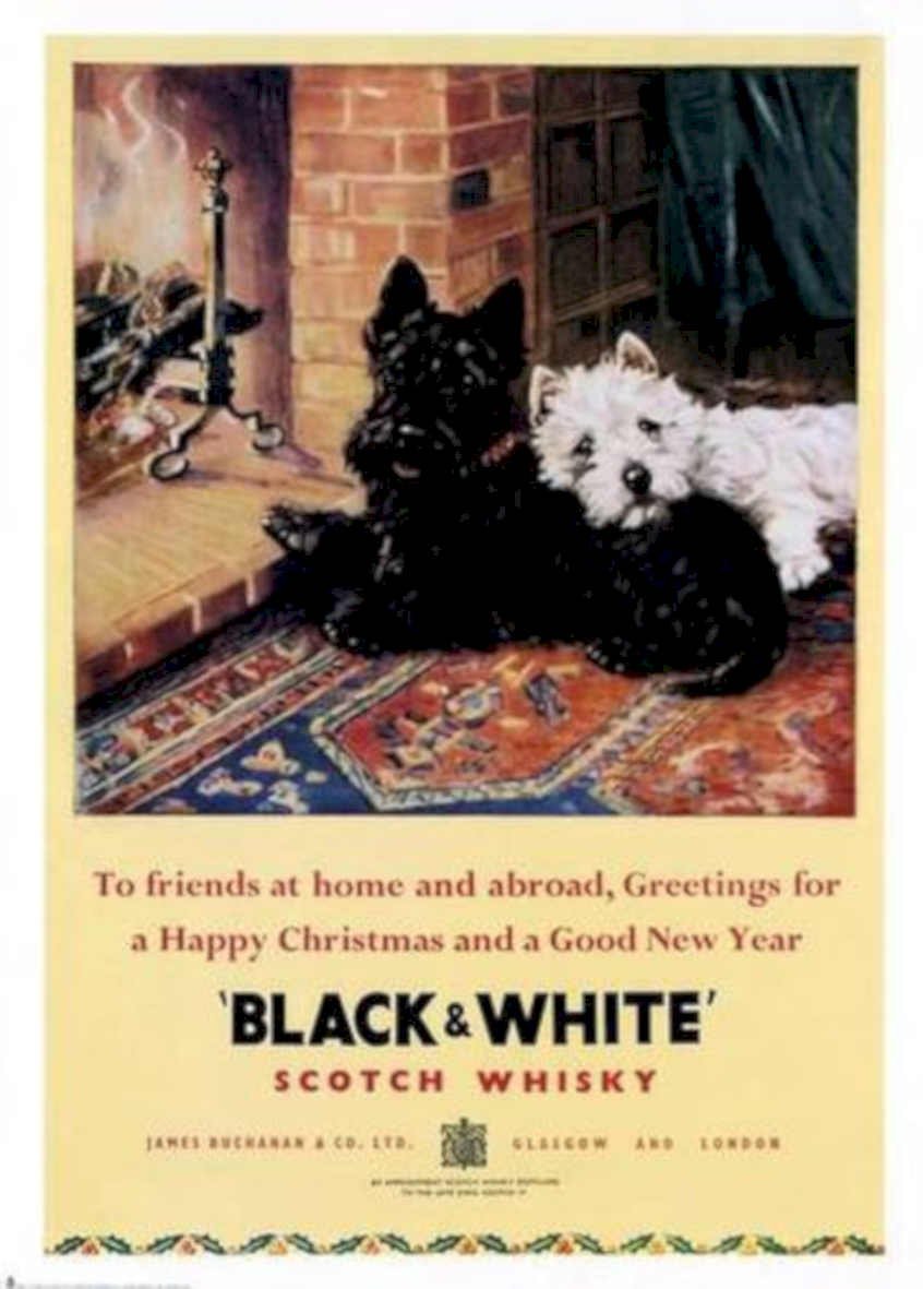Black White Terriers 2 Vintage Retro Advert Ads A4 Photo Print