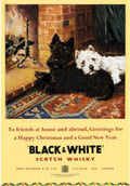Black White Terriers 4 Vintage Retro Advert Ads A4 Photo Print
