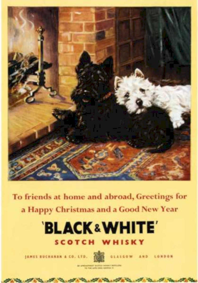 Black White Terriers 4 Vintage Retro Advert Ads A4 Photo Print