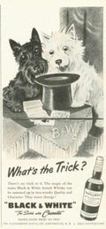 Black White Whisky Vintage Retro Advert Ads A4 Photo Print