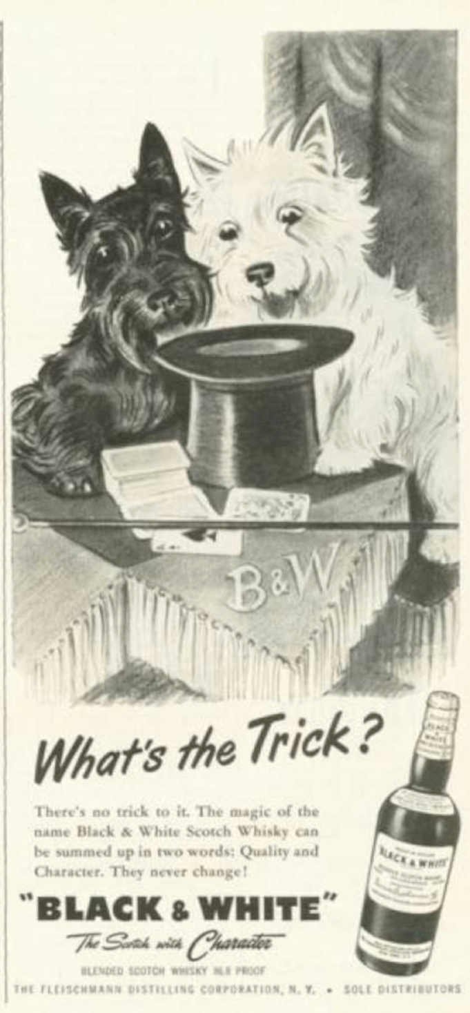 Black White Whisky Vintage Retro Advert Ads A4 Photo Print