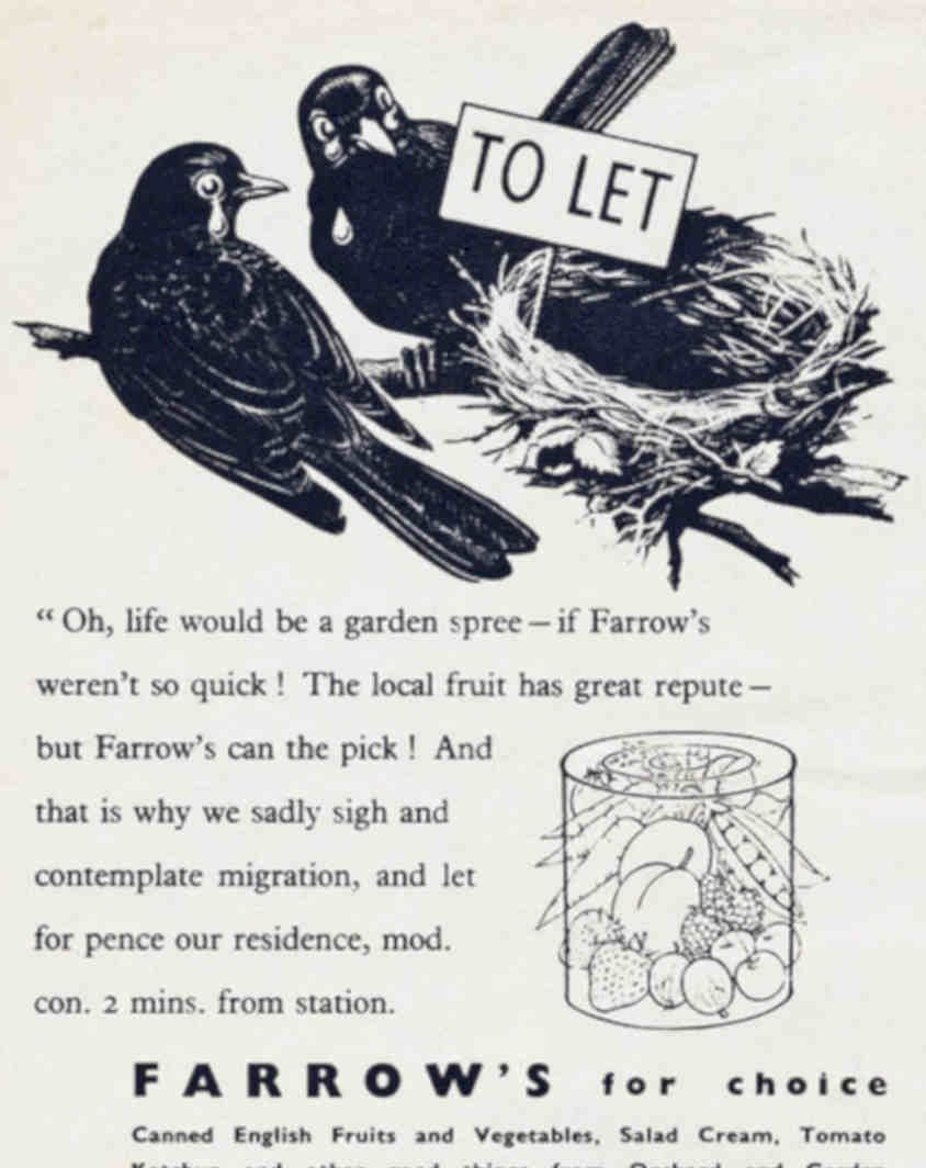 Blackbirds Nest Farrows Vintage Retro Advert Poster A4 Photo Print
