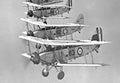 Blackburn Baffin (2) Military A4 Photo Print