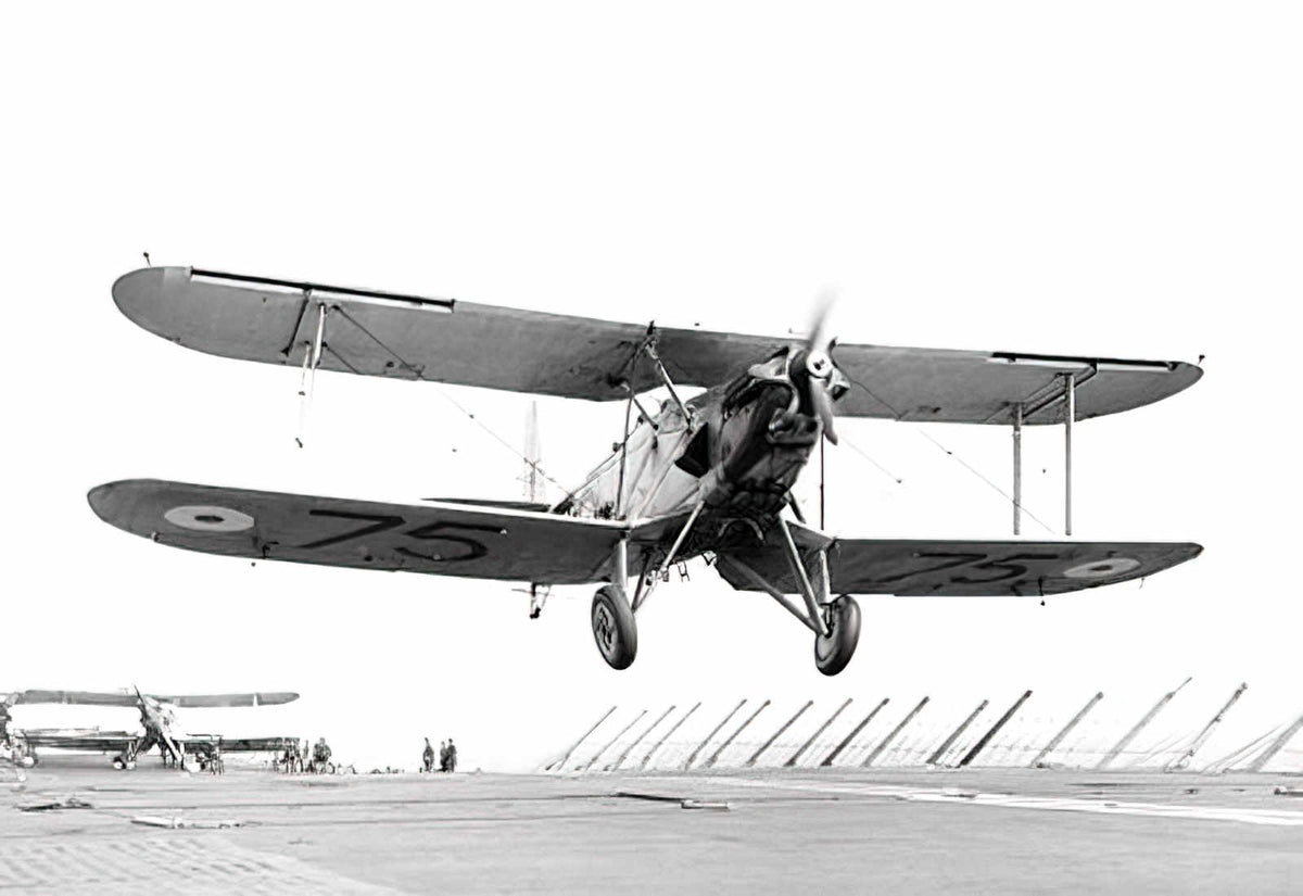 Blackburn Ripon (2) Military A4 Photo Print