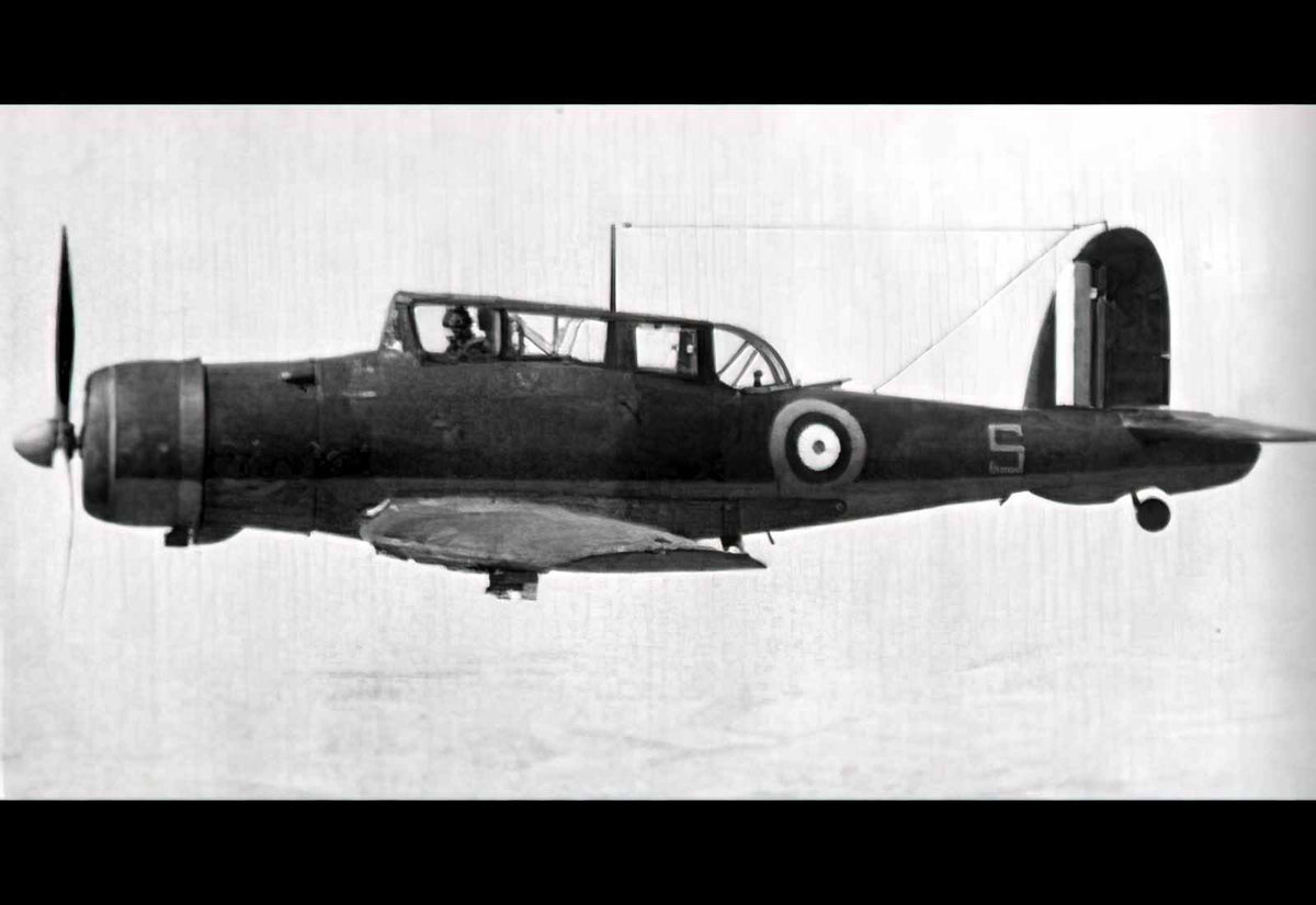 Blackburn Skua Dive Bomber Fighter United Kingdom (2) Military A4 Photo Print