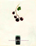Blackcurrant Jam Branch Vintage Retro Advert Poster A4 Photo Print