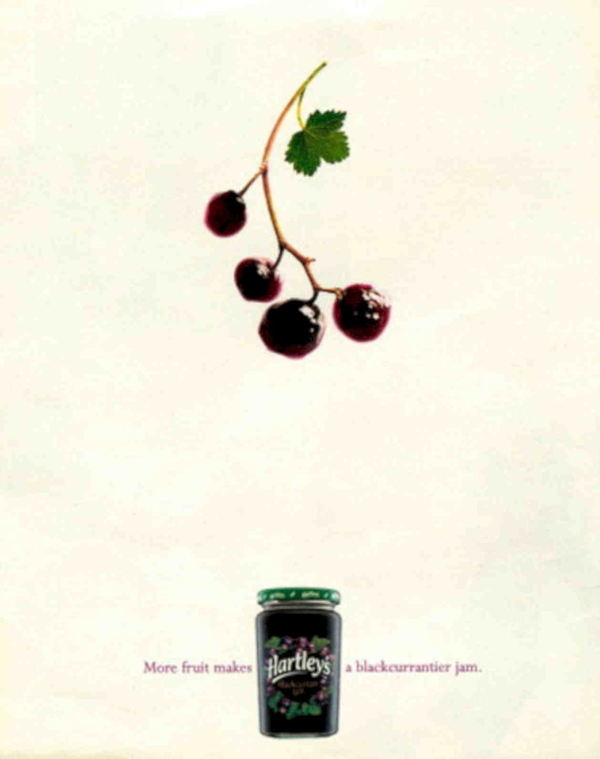 Blackcurrant Jam Branch Vintage Retro Advert Poster A4 Photo Print
