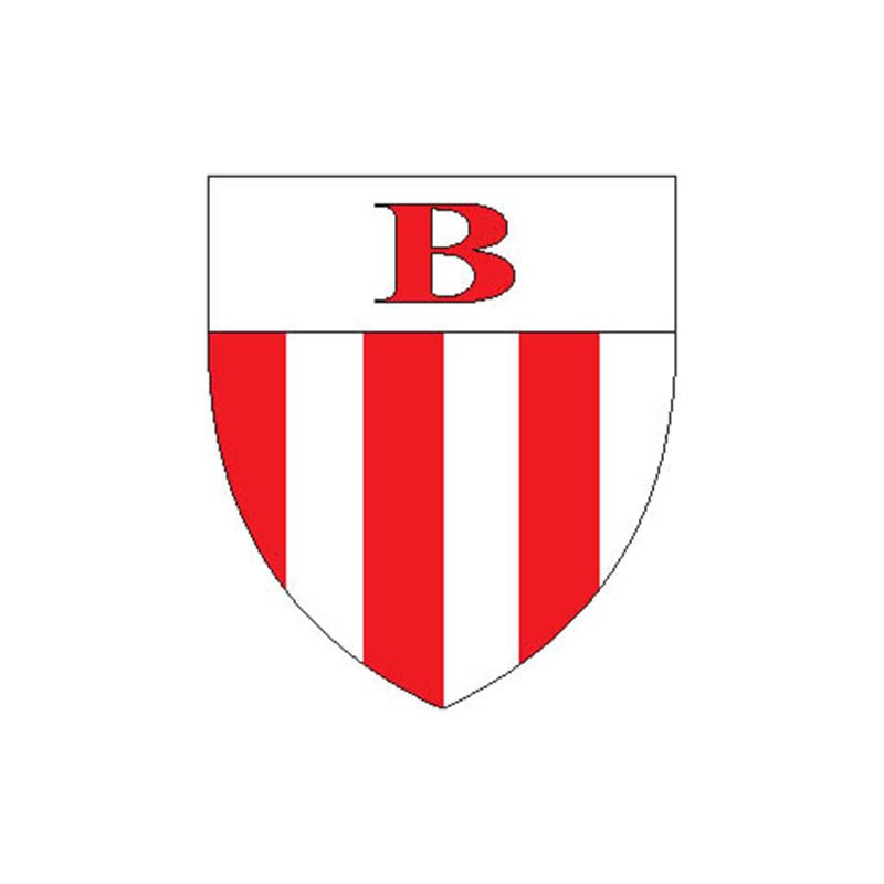 Blenio Dist Coat Of Arms N4291 A4 Photo Print