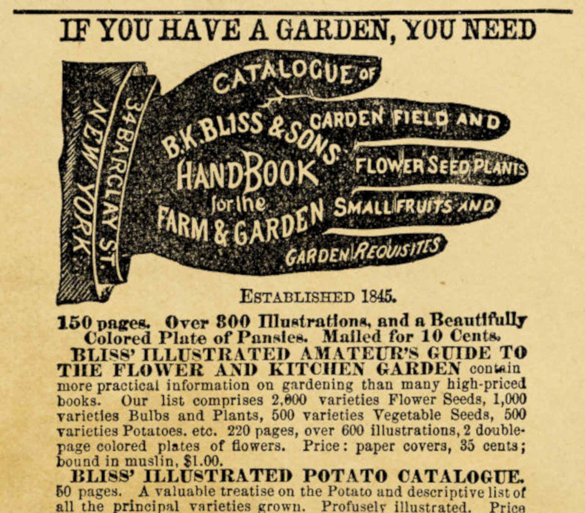 Bliss Seeds Nyc Vintage Retro Advert Poster A4 Photo Print