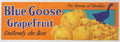 Blue Goose Grapefruit 1 Vintage Retro Advert Poster A4 Photo Print