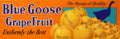 Blue Goose Grapefruit 2 Vintage Retro Advert Poster A4 Photo Print