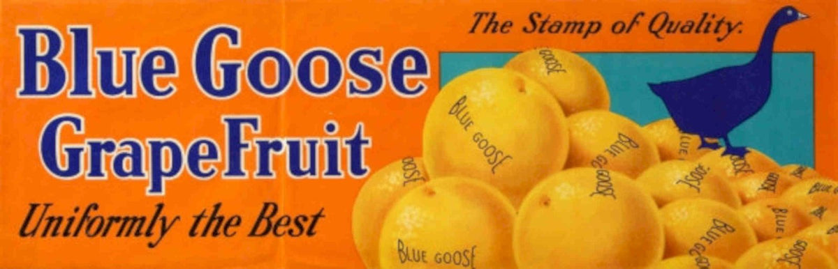 Blue Goose Grapefruit 2 Vintage Retro Advert Poster A4 Photo Print
