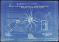 Blue Spider Blueprint Vintage Retro Advert Poster A4 Photo Print