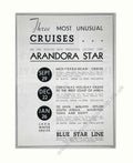 Blue Star Cruises Vintage Retro Advert Poster A4 Photo Print
