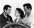 Blyth Ann All the Brothers Were Valiant 1 film star poster A4 Photo Print