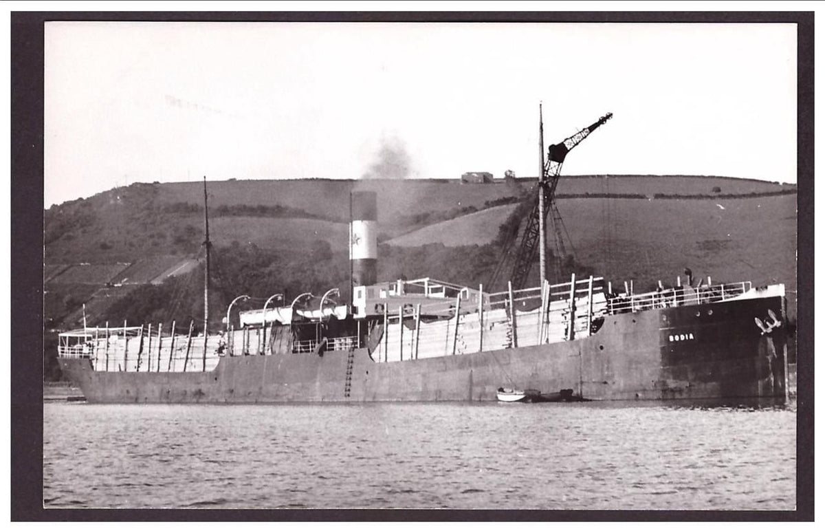 Bodia Swedish Lloyd Built 1899 Steam ship A4 Photo Print