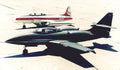 Boeing Skyfox Military A4 Photo Print