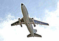 Boeing T43 Gator 5 (2) Military A4 Photo Print