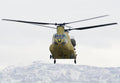 Boeing Vertol Ch47 Chinook Tandem Rotor Heavy Lift Transport Helicopter 4 Military A4 Photo Print