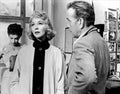 Bogart Humphrey Beat the Devil z4 film star poster A4 Photo Print